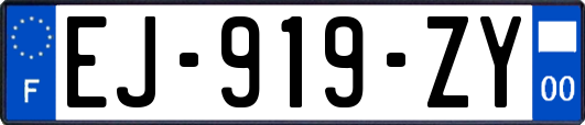 EJ-919-ZY