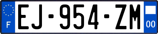 EJ-954-ZM