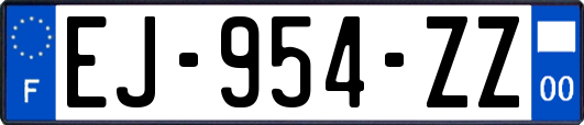 EJ-954-ZZ