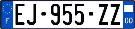 EJ-955-ZZ