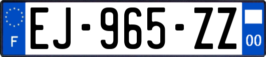 EJ-965-ZZ