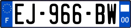 EJ-966-BW