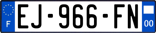 EJ-966-FN