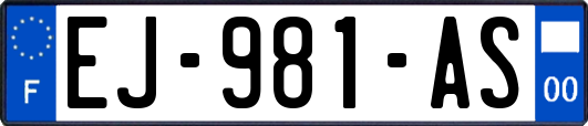 EJ-981-AS