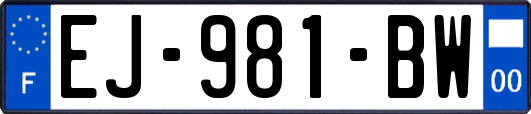 EJ-981-BW