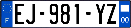 EJ-981-YZ