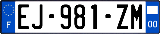 EJ-981-ZM