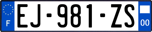 EJ-981-ZS