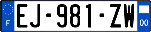 EJ-981-ZW