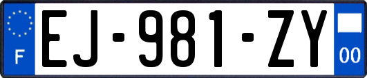 EJ-981-ZY