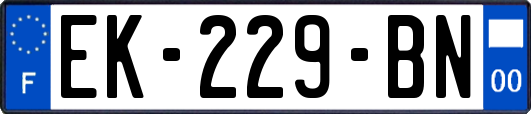 EK-229-BN