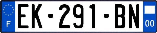 EK-291-BN