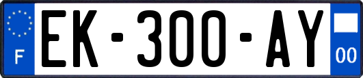 EK-300-AY