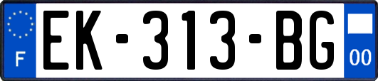 EK-313-BG