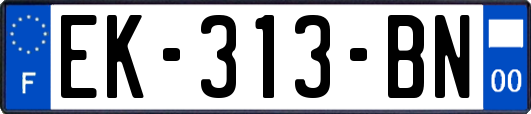 EK-313-BN