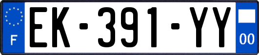 EK-391-YY