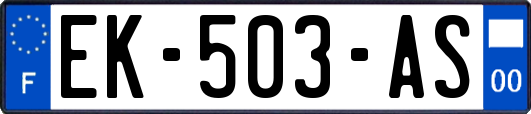 EK-503-AS