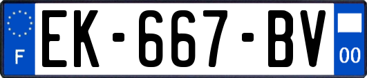 EK-667-BV