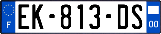 EK-813-DS