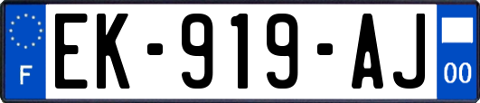 EK-919-AJ