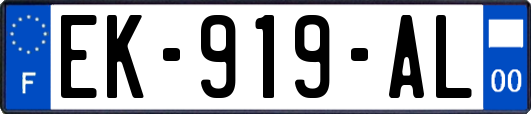 EK-919-AL