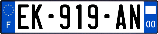 EK-919-AN