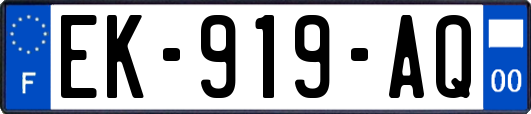 EK-919-AQ