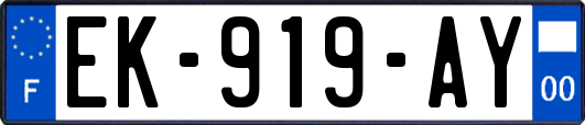 EK-919-AY