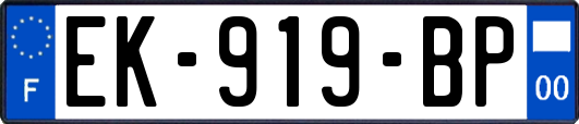 EK-919-BP