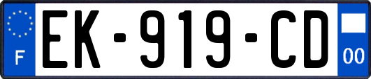 EK-919-CD