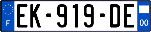 EK-919-DE