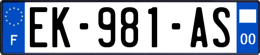 EK-981-AS