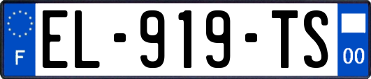 EL-919-TS