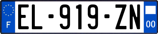 EL-919-ZN