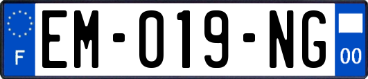 EM-019-NG