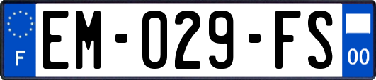 EM-029-FS