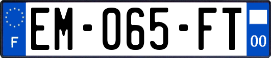 EM-065-FT