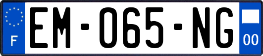 EM-065-NG