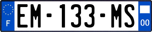 EM-133-MS