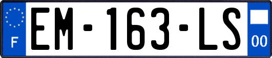 EM-163-LS
