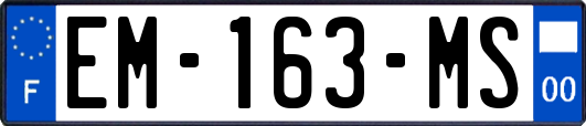 EM-163-MS