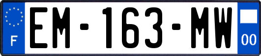 EM-163-MW