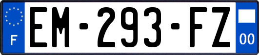 EM-293-FZ