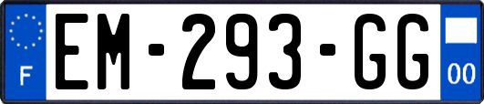 EM-293-GG