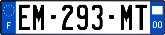 EM-293-MT