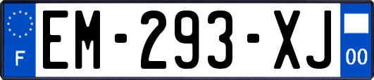 EM-293-XJ