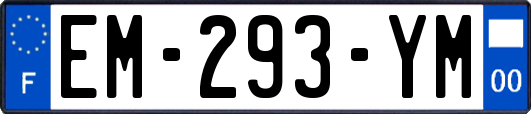 EM-293-YM