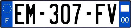 EM-307-FV