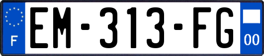 EM-313-FG