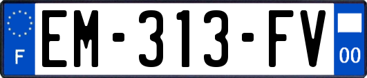EM-313-FV